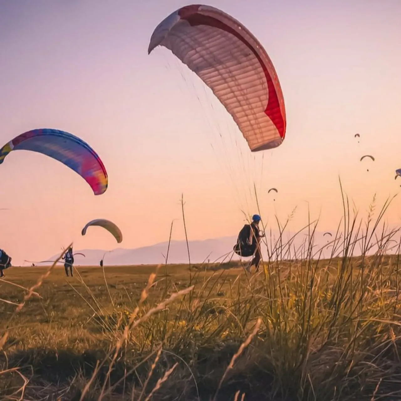 Several paragliders above a ridge at sunset